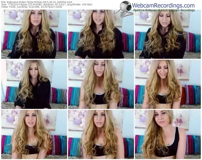 webcams-mitsie-public-show-06_01_2015-20_40_54
