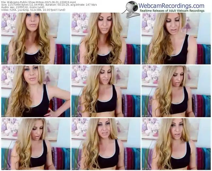 webcams-mitsie-public-show-06_01_2015-22_08_19