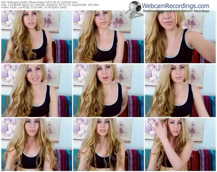 webcams-mitsie-public-show-06_01_2015-22_36_32