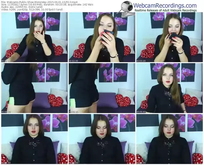 webcams-morendey-public-show-06_01_2015-10_25_13