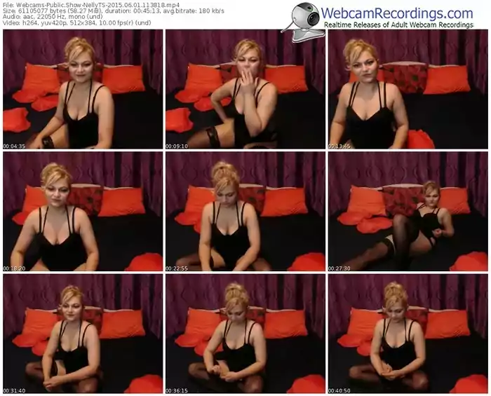 webcams-nellyts-public-show-06_01_2015-11_38_18