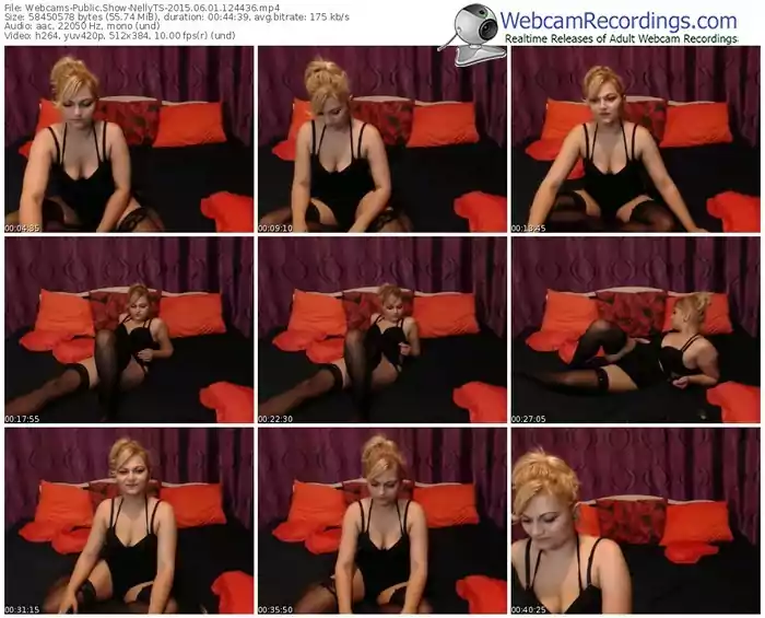 webcams-nellyts-public-show-06_01_2015-12_44_36