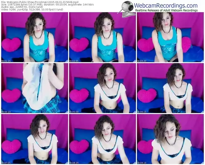 webcams-piccolinau-public-show-06_01_2015-01_56_48