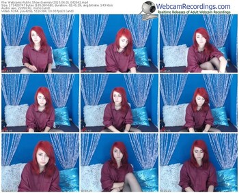 webcams-siennav-public-show-06_01_2015-04_29_42