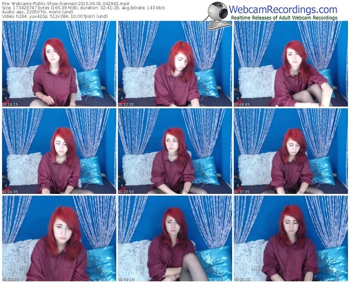 webcams-siennav-public-show-06_01_2015-04_29_42