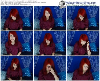 webcams-siennav-public-show-06_01_2015-10_07_41