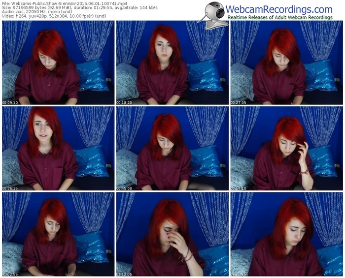 webcams-siennav-public-show-06_01_2015-10_07_41