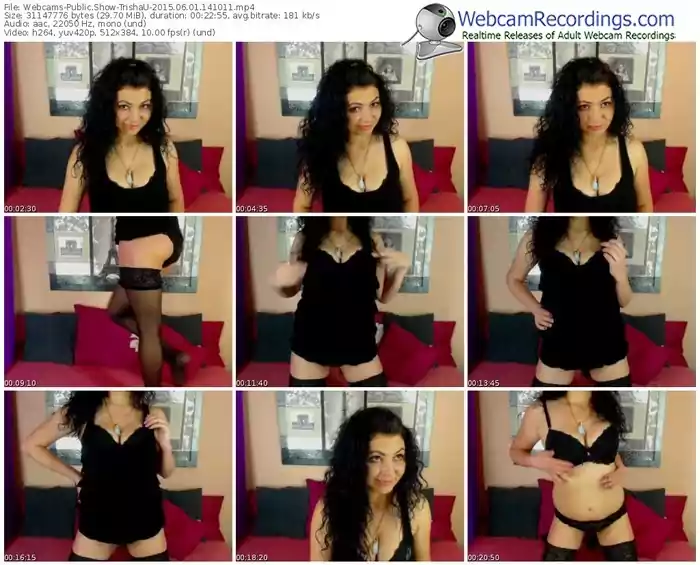 webcams-trishau-public-show-06_01_2015-14_10_11