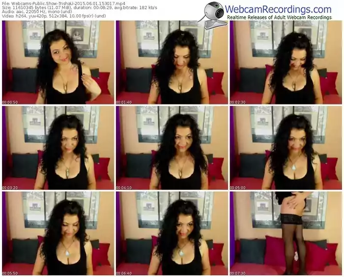 webcams-trishau-public-show-06_01_2015-15_30_17