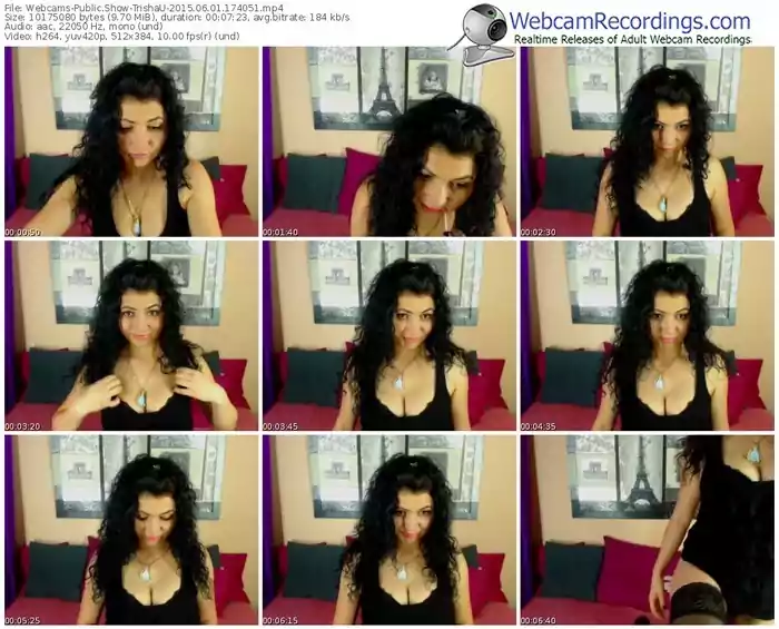 webcams-trishau-public-show-06_01_2015-17_40_51