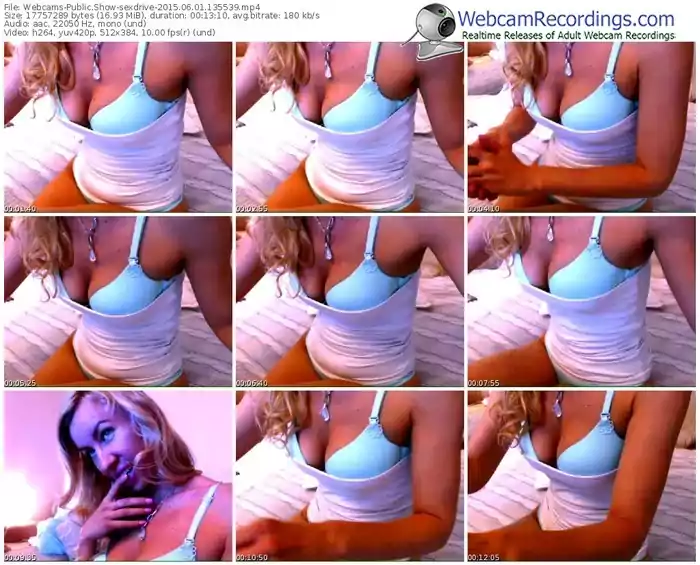 webcams-sexdrive-public-show-06_01_2015-13_55_39