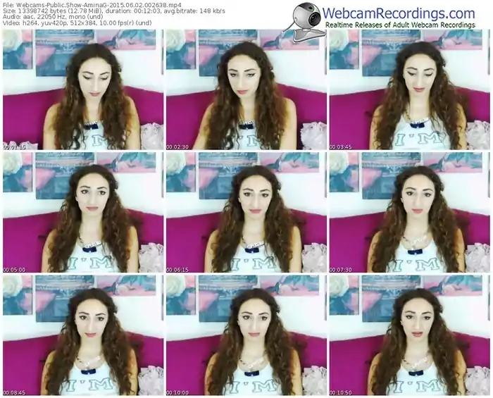 webcams-aminag-public-show-06_02_2015-00_26_38