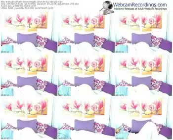 webcams-angell-public-show-06_02_2015-03_43_24