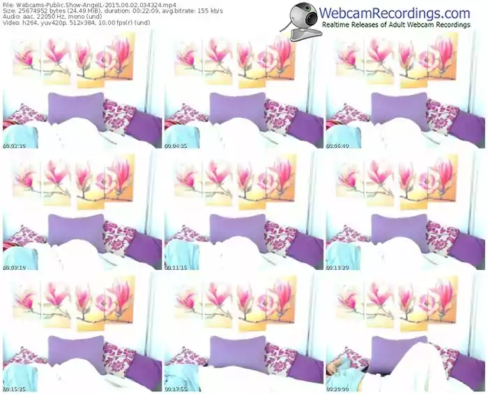 webcams-angell-public-show-06_02_2015-03_43_24