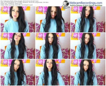 webcams-angell-public-show-06_02_2015-15_14_27
