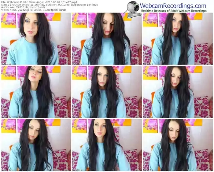 webcams-angell-public-show-06_02_2015-15_14_27