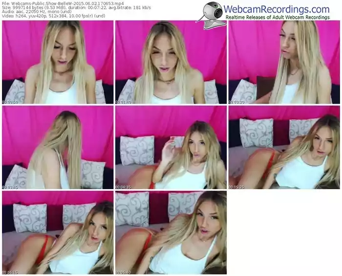 webcams-bellew-public-show-06_02_2015-17_06_53