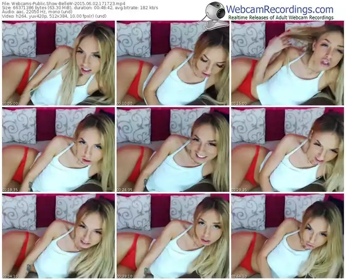 webcams-bellew-public-show-06_02_2015-17_17_23