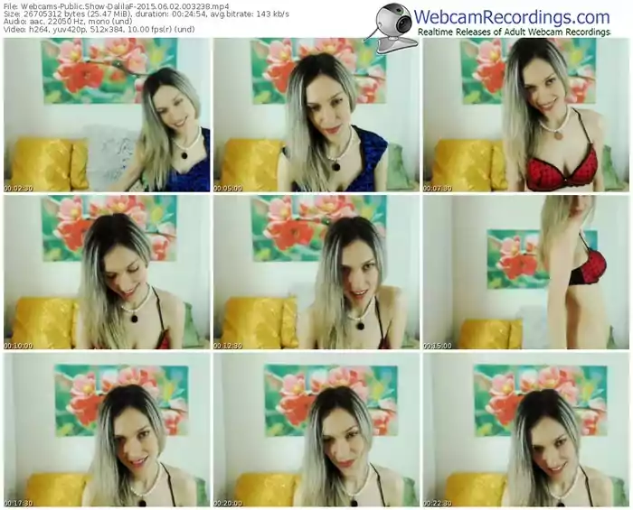 webcams-dalilaf-public-show-06_02_2015-00_32_38