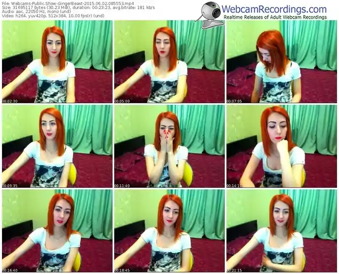 webcams-gingerbeast-public-show-06_02_2015-08_55_53