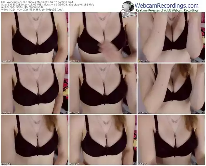 webcams-katef-public-show-06_02_2015-04_39_30