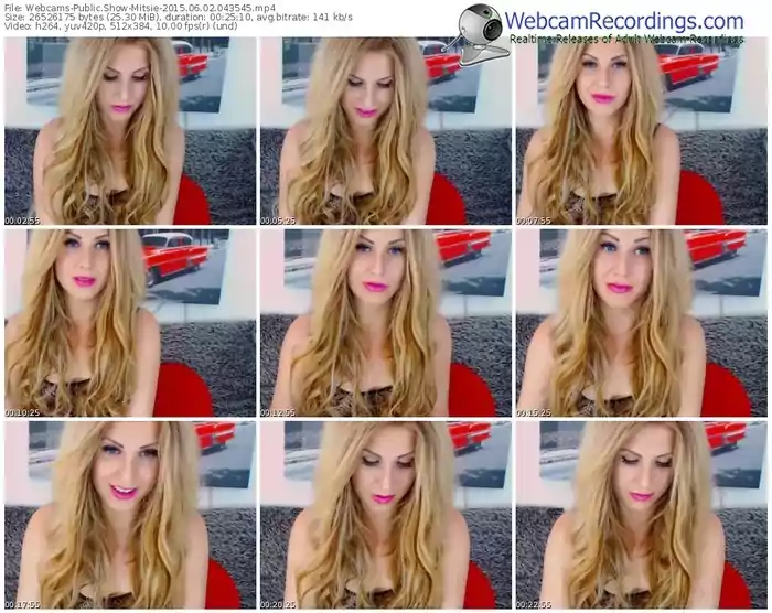 webcams-mitsie-public-show-06_02_2015-04_35_45