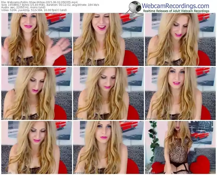 webcams-mitsie-public-show-06_02_2015-05_03_55