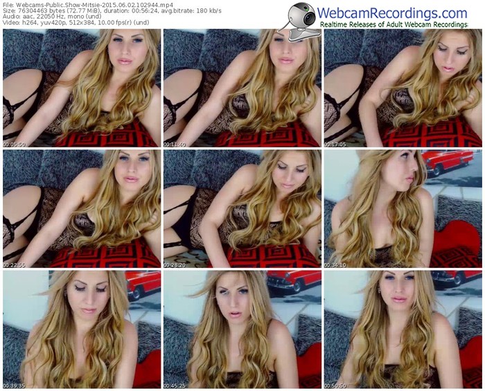webcams-mitsie-public-show-06_02_2015-10_29_44