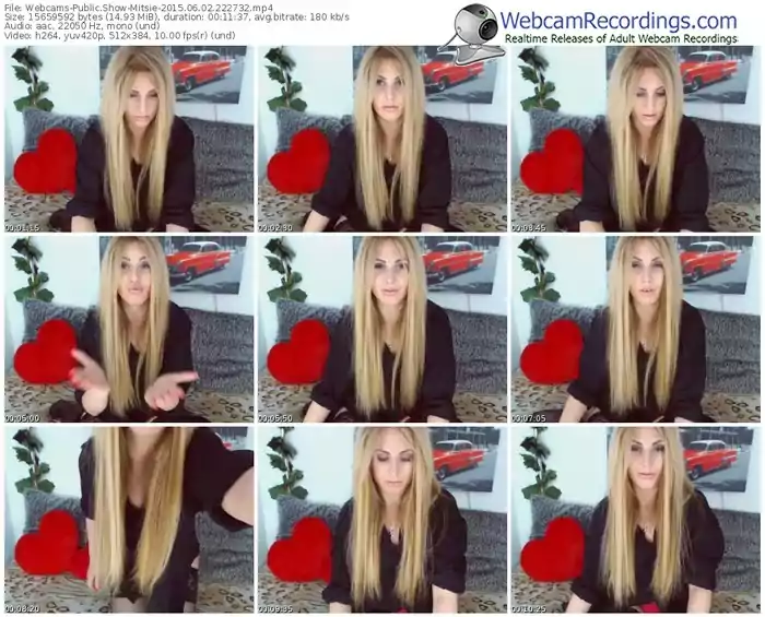 webcams-mitsie-public-show-06_02_2015-22_27_32
