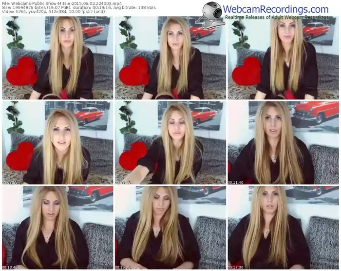 webcams-mitsie-public-show-06_02_2015-22_40_03