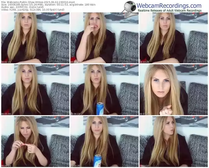 webcams-mitsie-public-show-06_02_2015-23_00_10