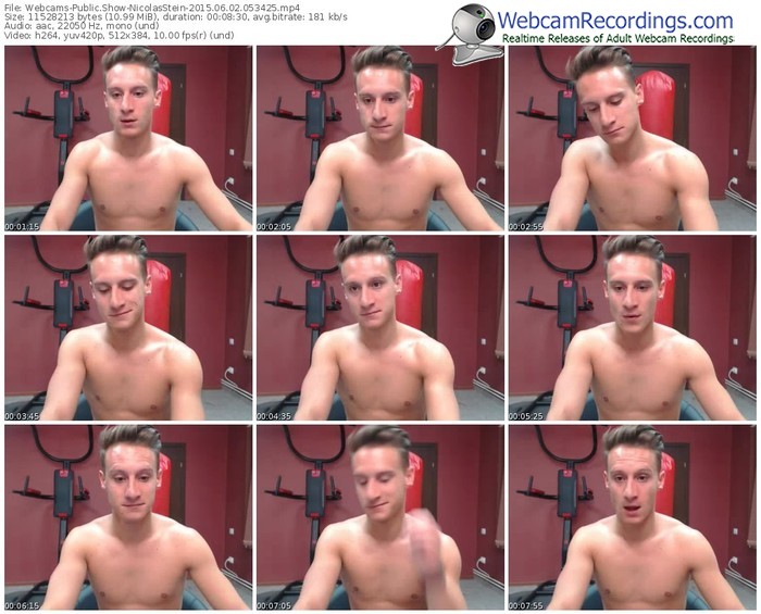 webcams-nicolasstein-public-show-06_02_2015-05_34_25