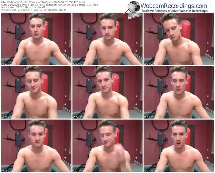 webcams-nicolasstein-public-show-06_02_2015-05_34_25