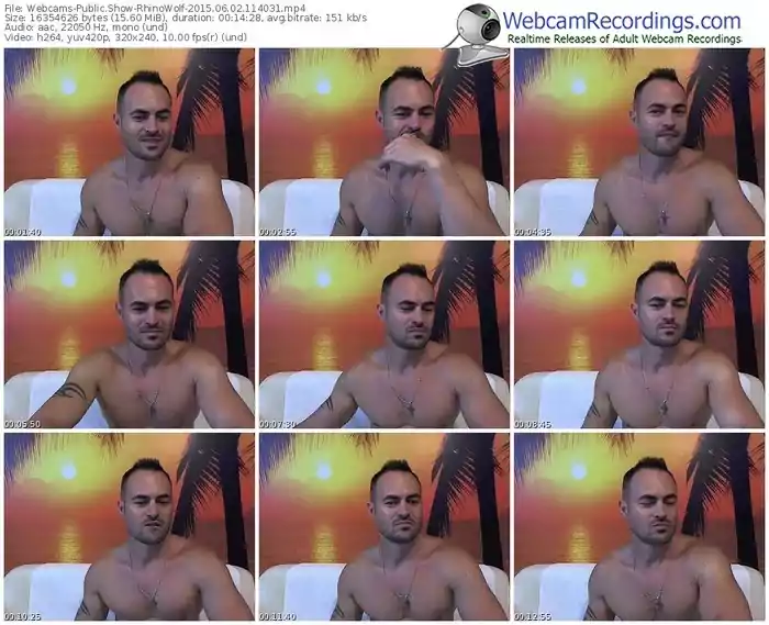 webcams-rhinowolf-public-show-06_02_2015-11_40_31