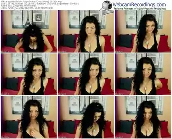 webcams-trishau-public-show-06_02_2015-00_13_08