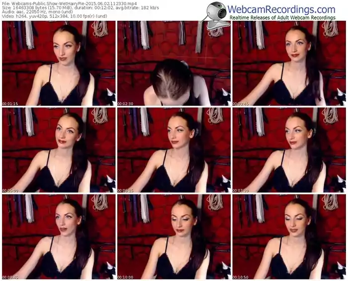 webcams-wethairypie-public-show-06_02_2015-11_23_30