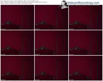 webcams-18barbie-public-show-06_03_2015-22_01_45