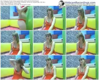 webcams-apilinnasky-public-show-06_03_2015-15_32_18