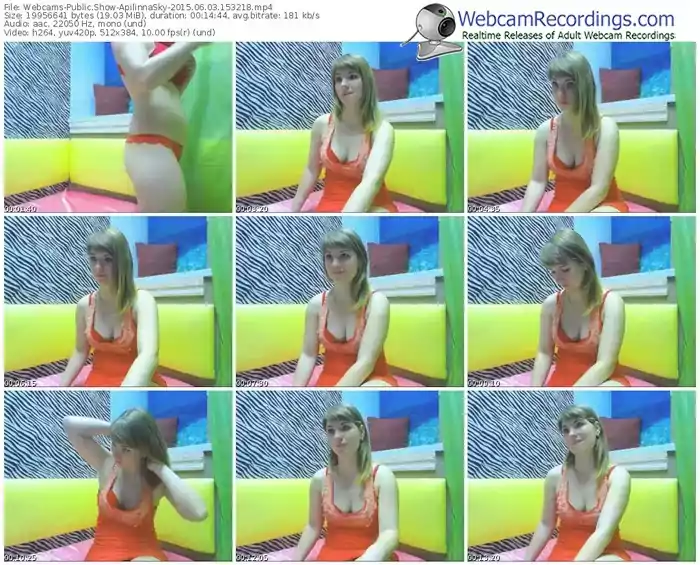 webcams-apilinnasky-public-show-06_03_2015-15_32_18