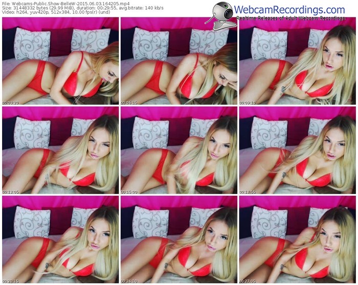 webcams-bellew-public-show-06_03_2015-16_42_05