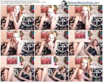 webcams-dasmodel-public-show-06_03_2015-18_32_44