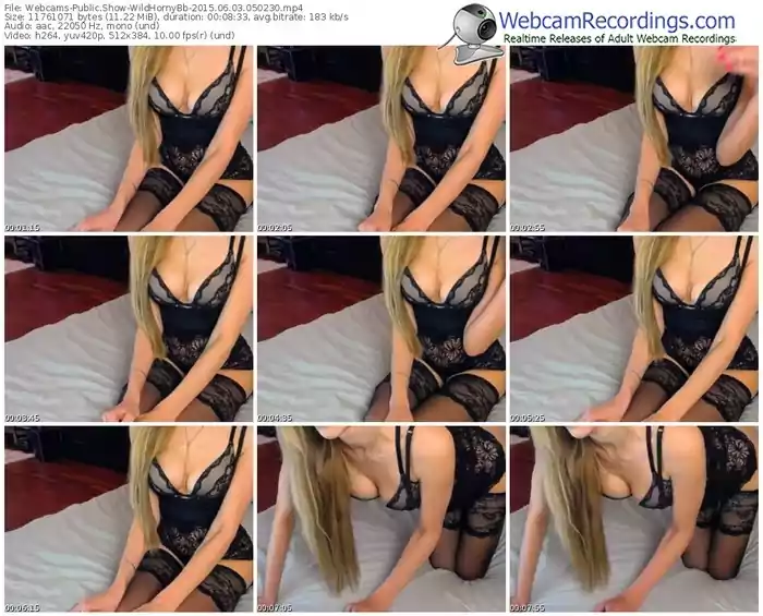 webcams-wildhornybb-public-show-06_03_2015-05_02_30