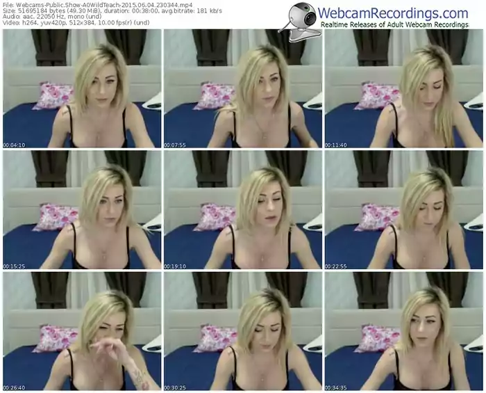 webcams-a0wildteach-public-show-06_04_2015-23_03_44