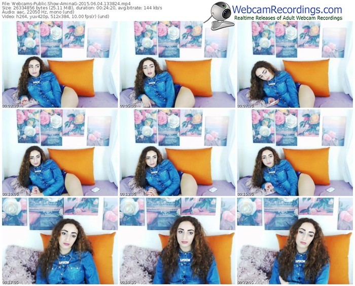 webcams-aminag-public-show-06_04_2015-13_38_24