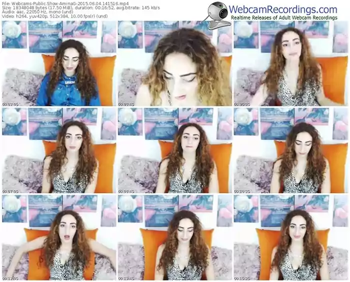 webcams-aminag-public-show-06_04_2015-14_15_16