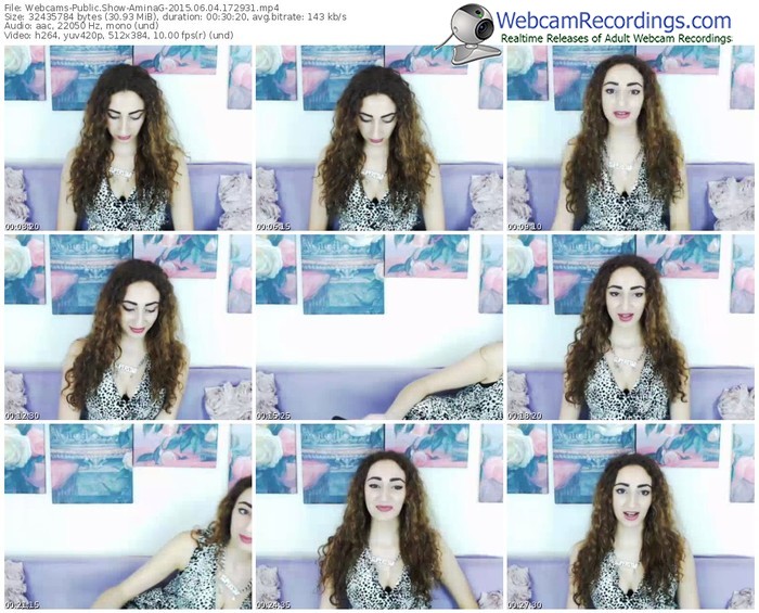 webcams-aminag-public-show-06_04_2015-17_29_31