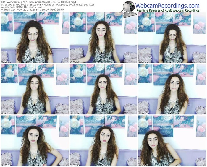 webcams-aminag-public-show-06_04_2015-18_10_20