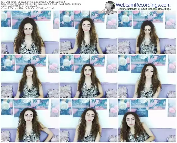 webcams-aminag-public-show-06_04_2015-18_10_20