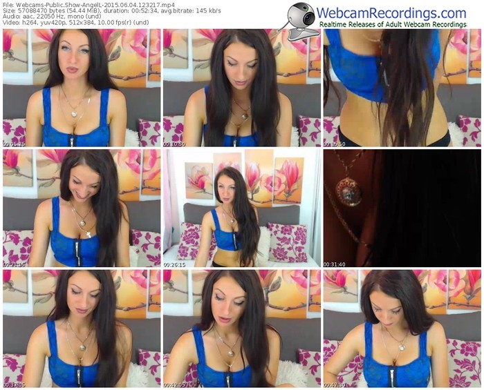 webcams-angell-public-show-06_04_2015-12_32_17