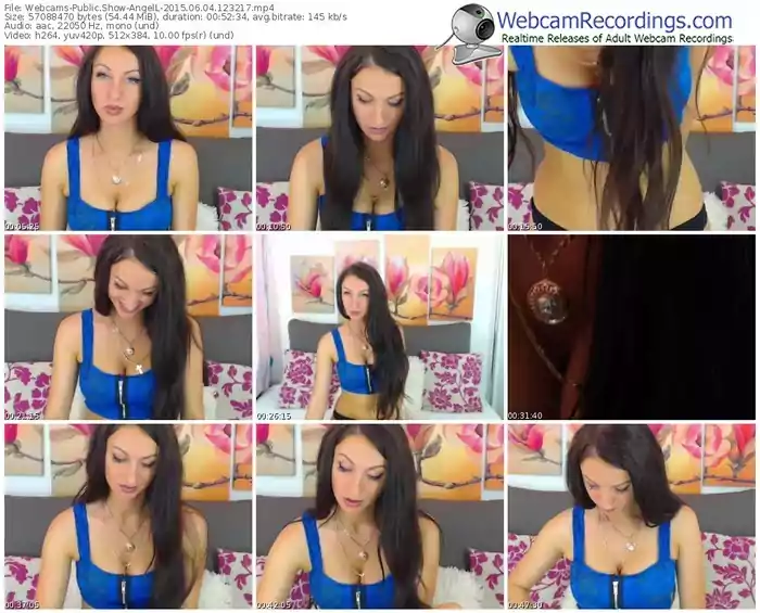 webcams-angell-public-show-06_04_2015-12_32_17